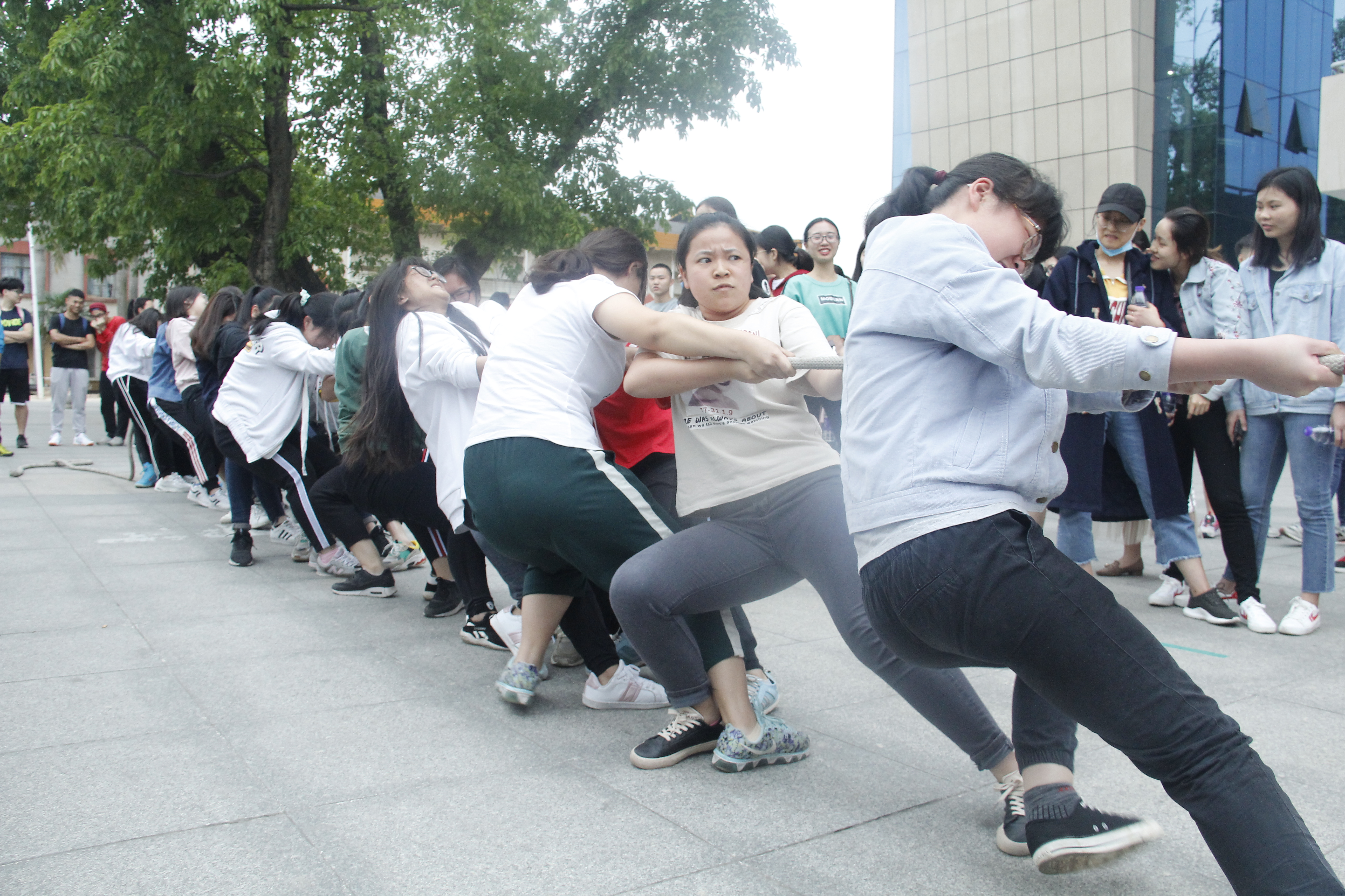 化院女子拔河队在我校第四十八届拔河比赛中取得优异成绩